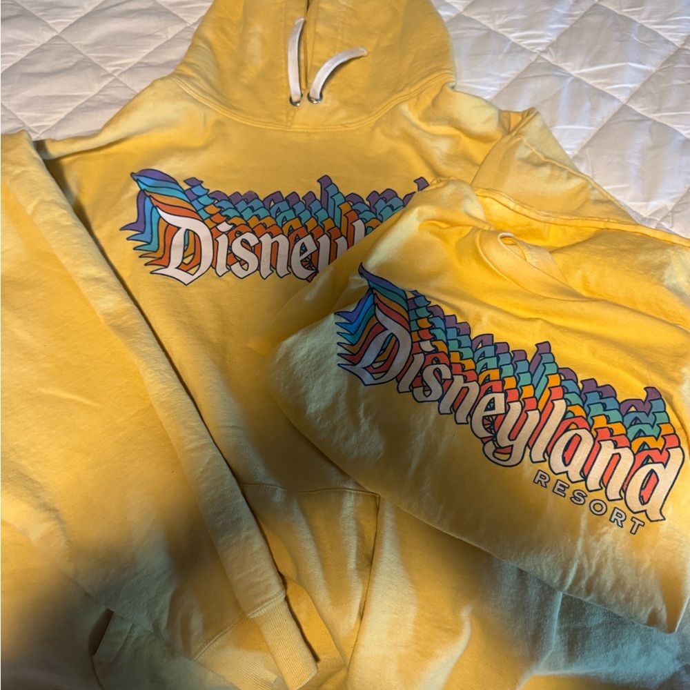 Disneyland sweatshirt and shirt